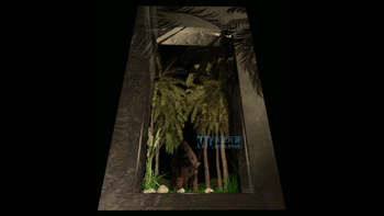 恐龍裸眼3D視頻模板